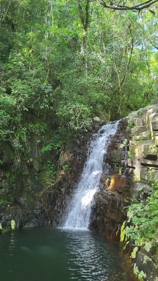 Hausprojekt in Brasilien inmitten subtropischer Natur