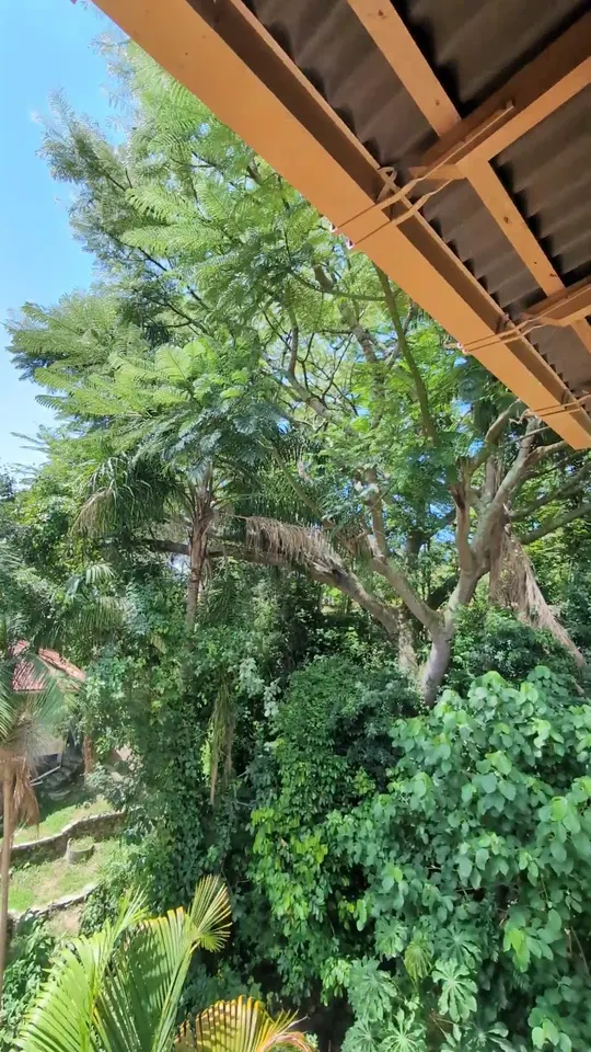 Floripa dream House with Brazilian Nature